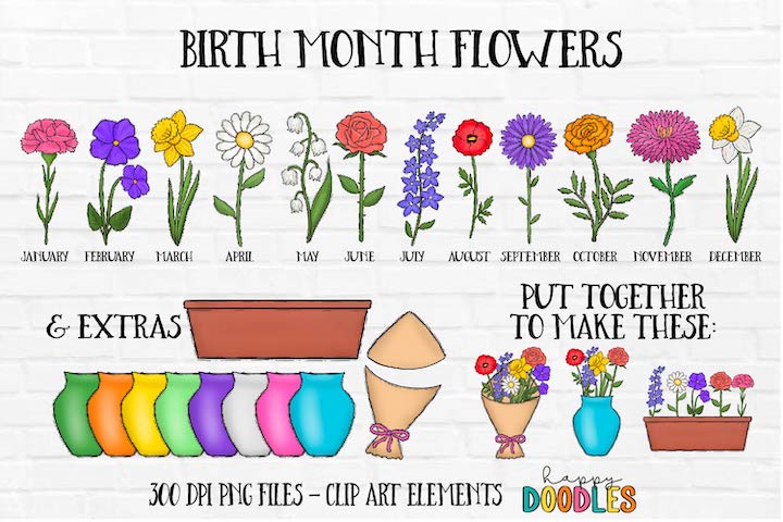 Birth Month Flowers Bundle- Hand Drawn Commercial Use Clipart Graphics